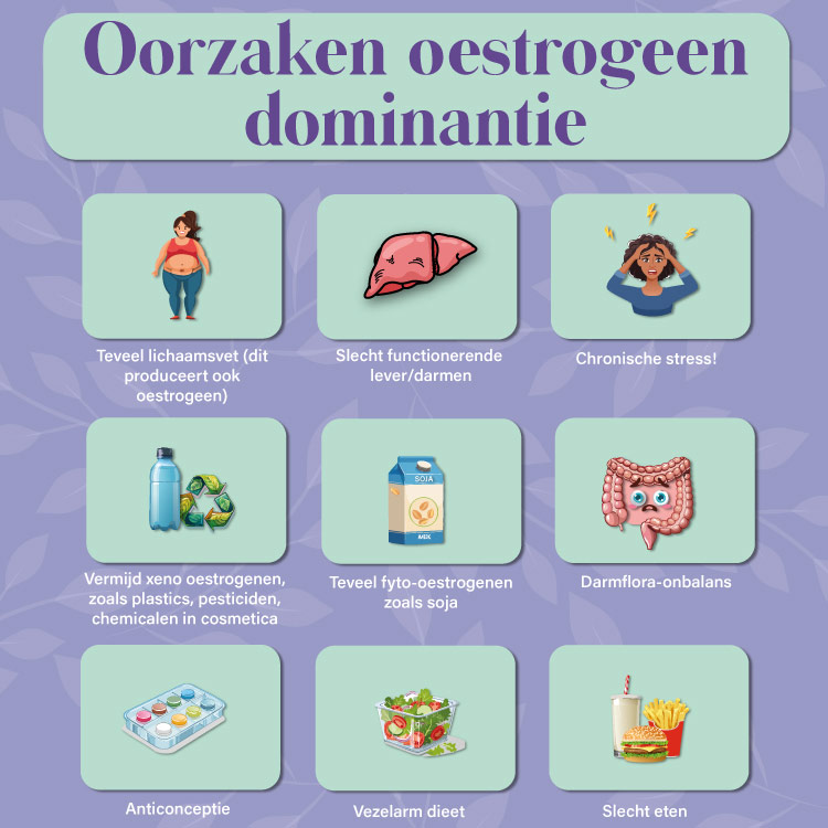 Hoe oestrogeen dominantie en voeding invloed hebben op endometriose